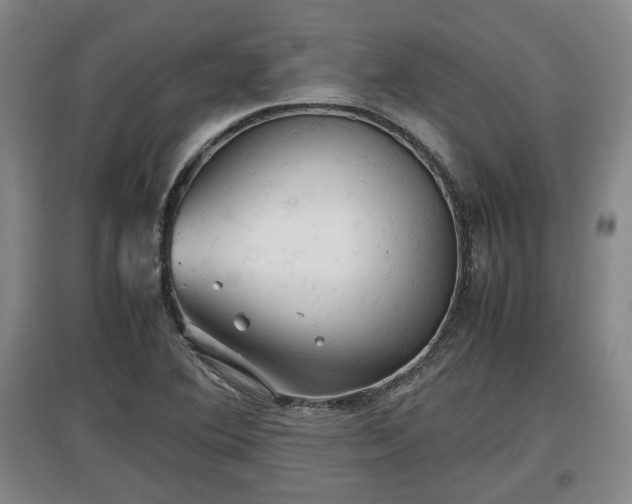 X0000097481364200802291348