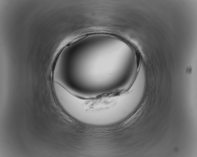X0000097481365200802291348