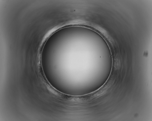X0000097481366200802291348