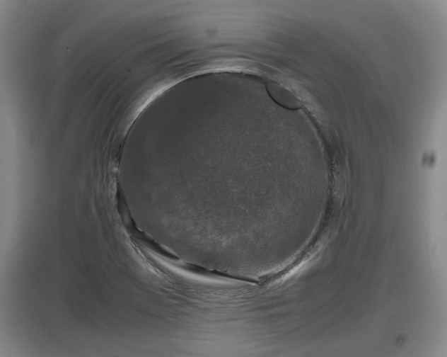 X0000097481369200802291348