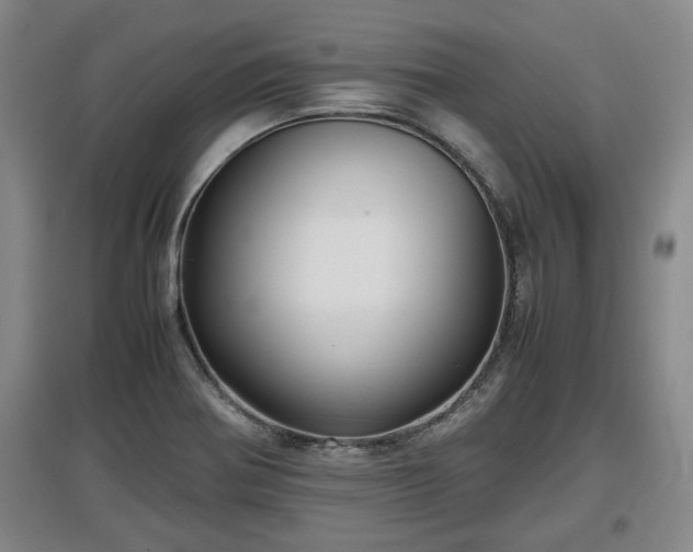 X0000097481370200802291348