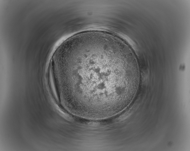 X0000097481371200802291348