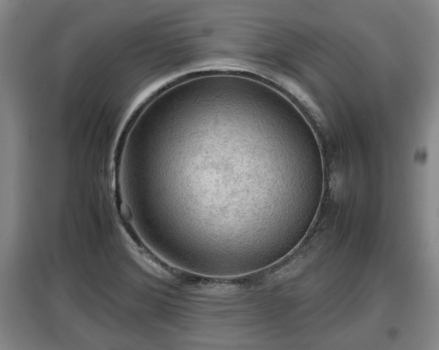 X0000097481372200802291348