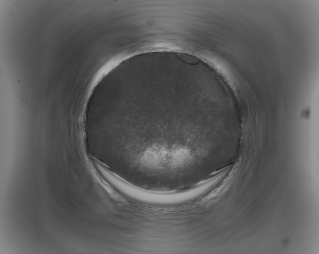 X0000097481373200802291348