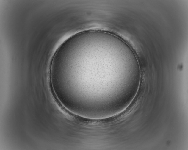 X0000097481375200802291348
