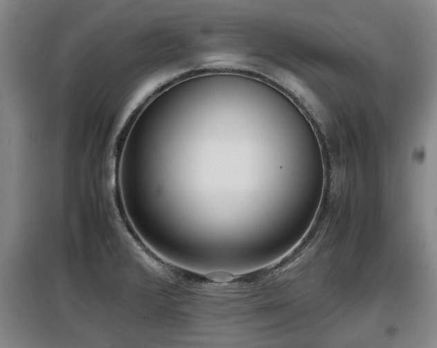 X0000097481376200802291348