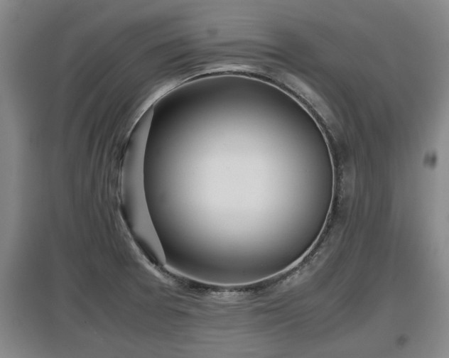 X0000097481377200802291348