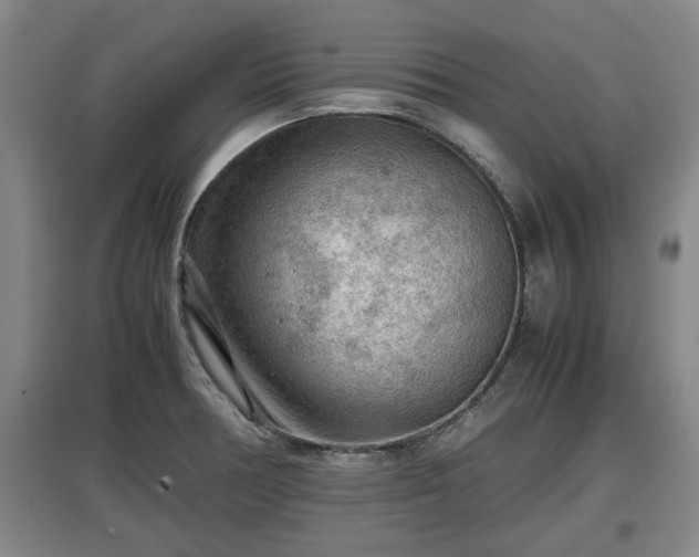 X0000097481378200802291348