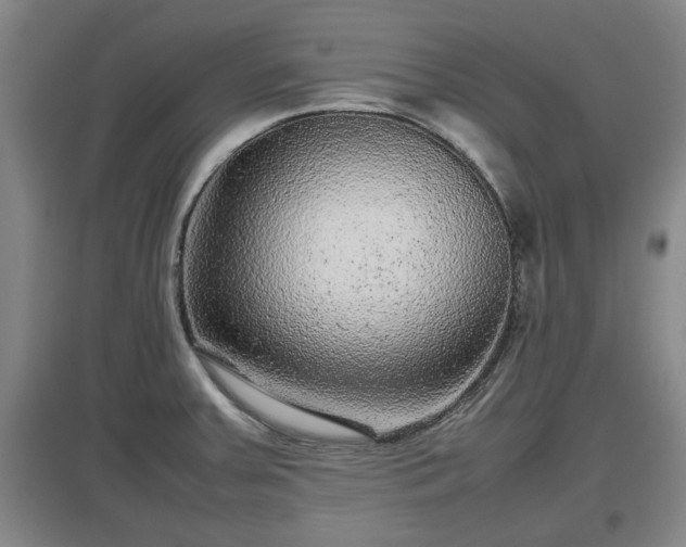 X0000097481379200802291348
