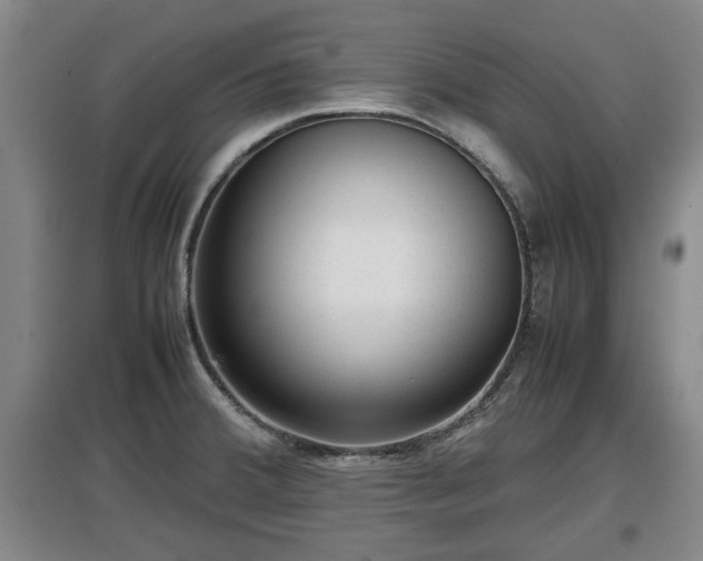 X0000097481380200802291348