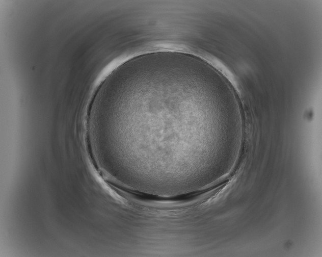X0000097481381200802291348