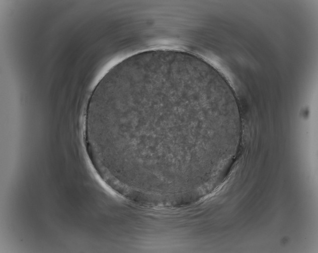 X0000097481383200802291348