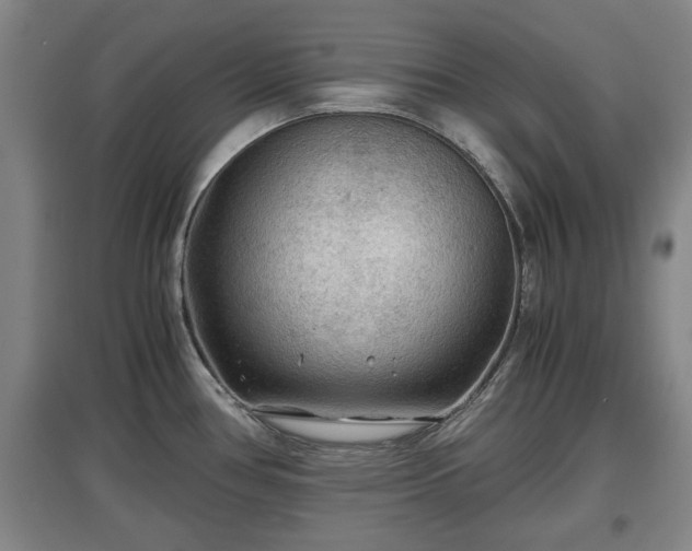 X0000097481386200802291348