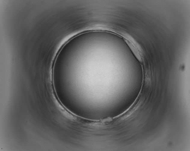 X0000097481388200802291348