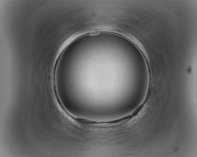 X0000097481389200802291348