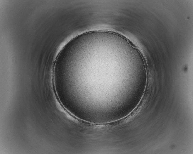 X0000097481390200802291348