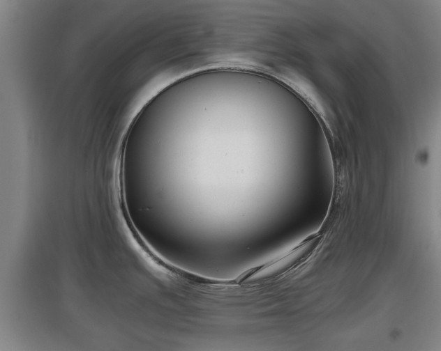 X0000097481391200802291348