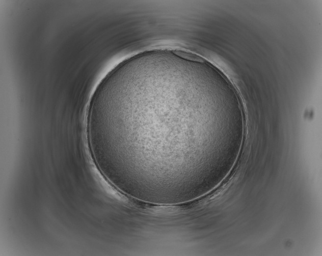 X0000097481392200802291348