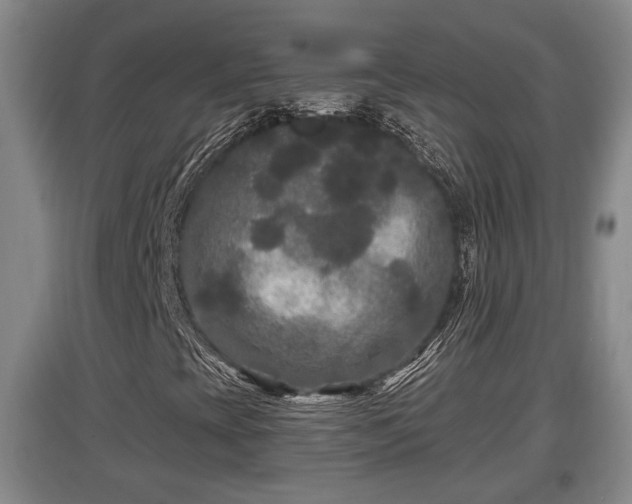X0000097481393200802291347