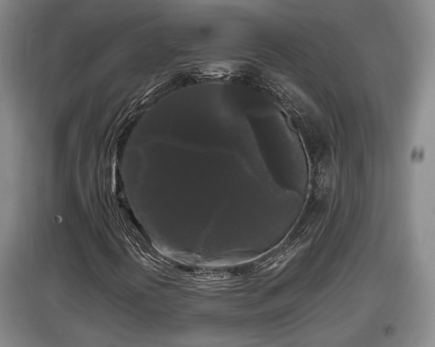 X0000097481394200802291347