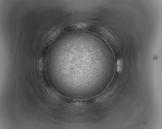 X0000097481395200802291347