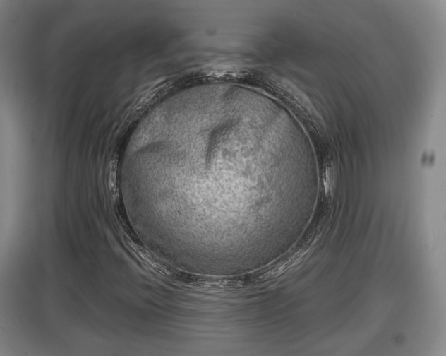 X0000097481396200802291347