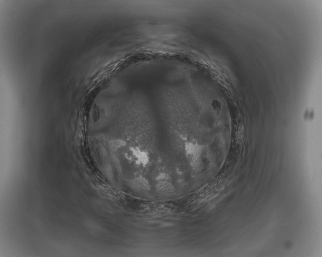 X0000097481397200802291347