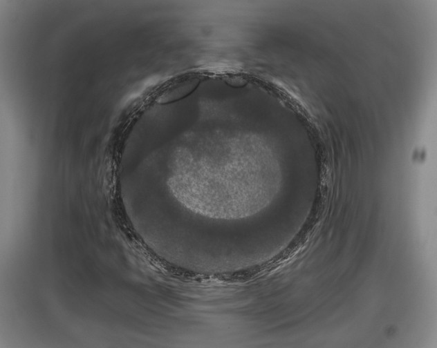 X0000097481398200802291347