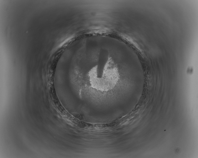 X0000097481399200802291347