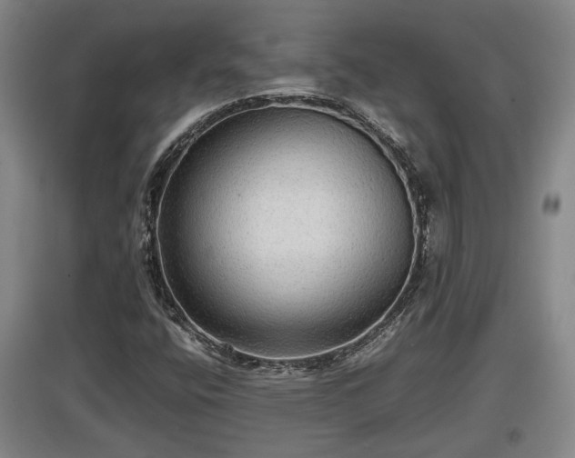 X0000097481400200802291347