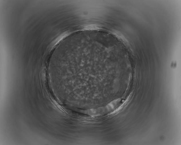 X0000097481401200802291347