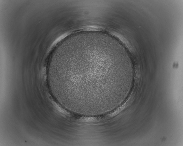 X0000097481402200802291347