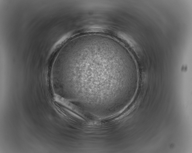 X0000097481403200802291347