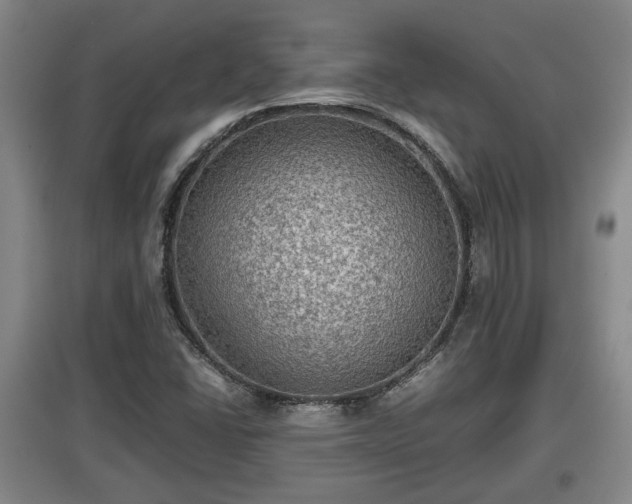 X0000097481406200802291348