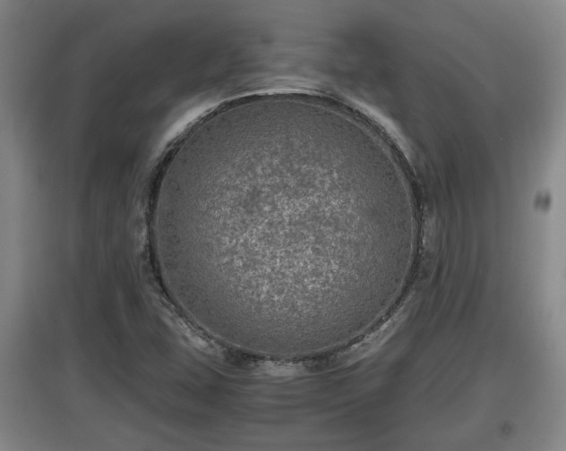 X0000097481407200802291348