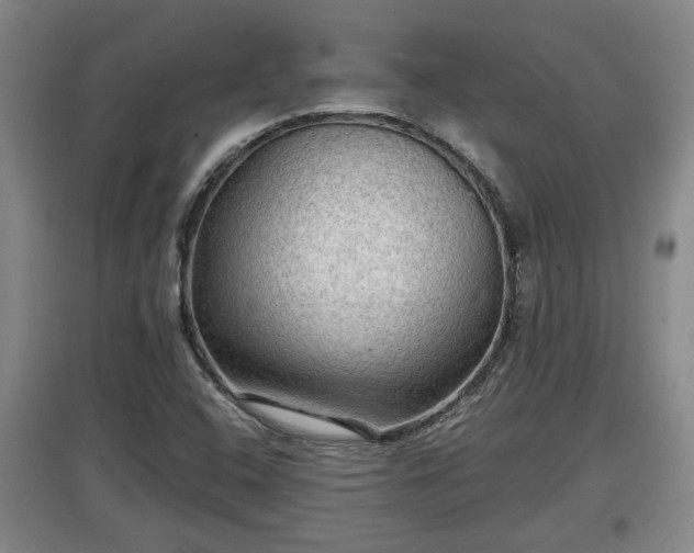 X0000097481408200802291348