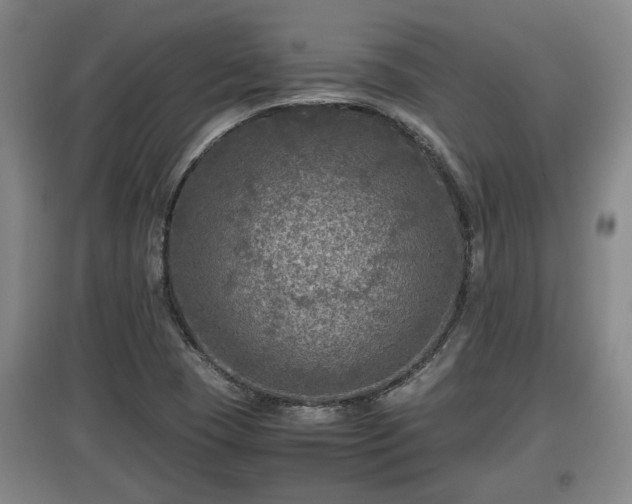 X0000097481409200802291348