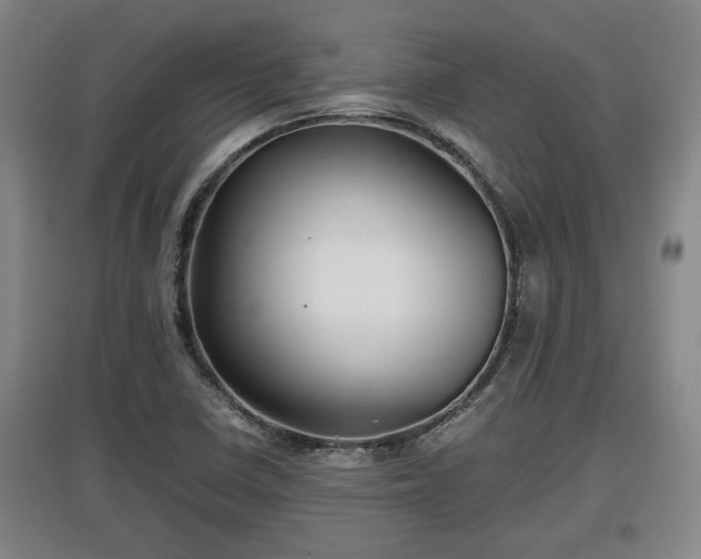 X0000097481410200802291348