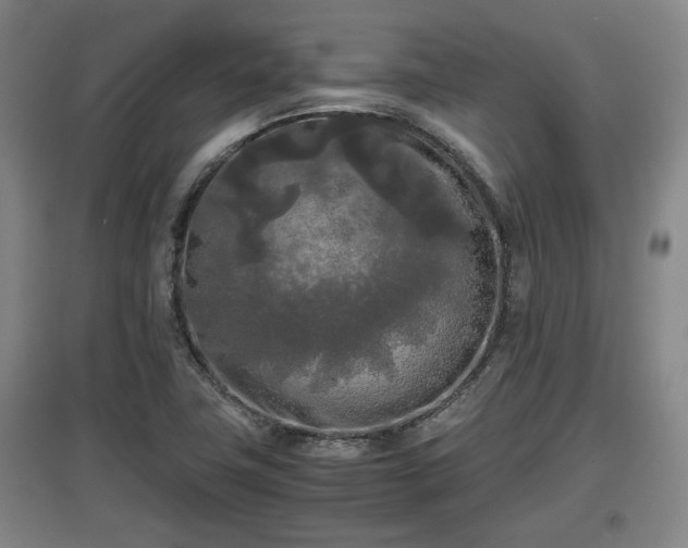 X0000097481411200802291348