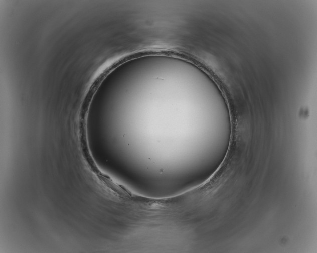 X0000097481412200802291348