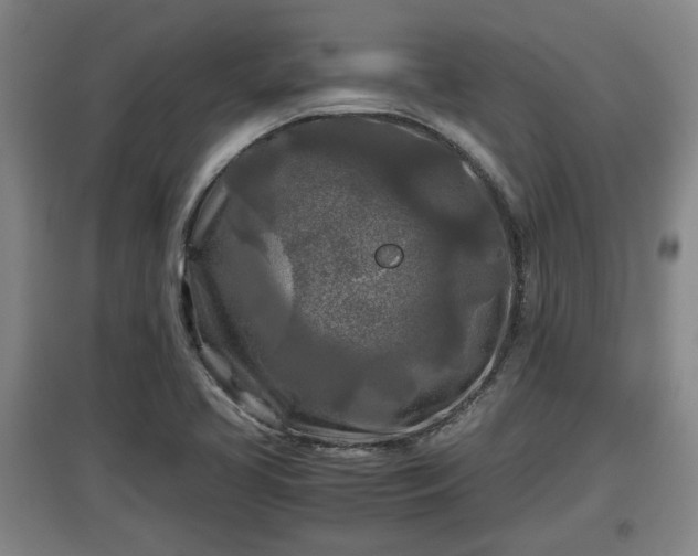 X0000097481413200802291348