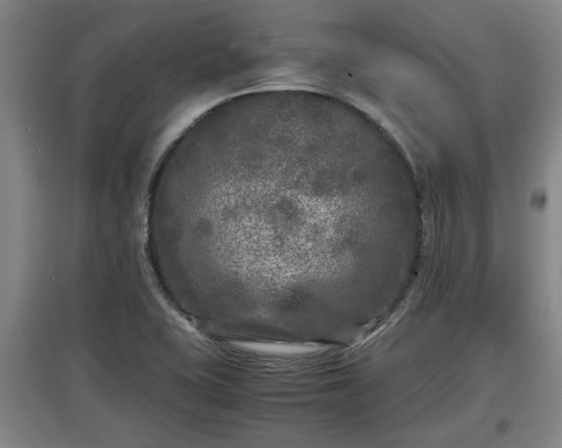 X0000097481415200802291348