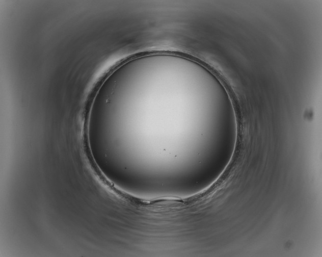 X0000097481416200802291348