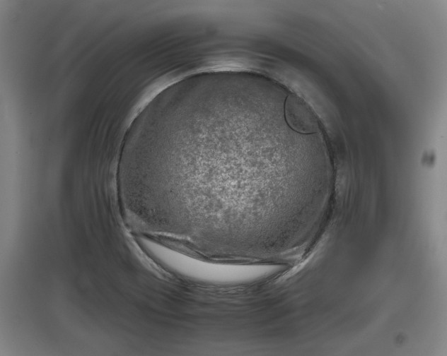 X0000097481417200802291348