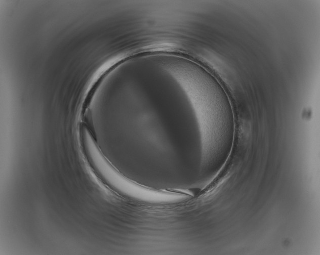 X0000097481418200802291348