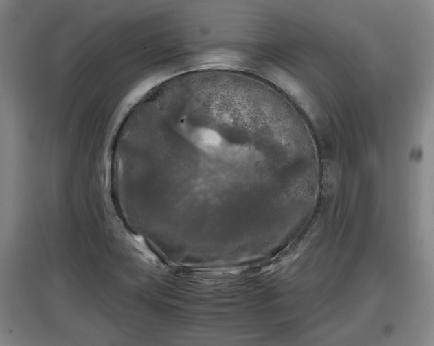 X0000097481419200802291348