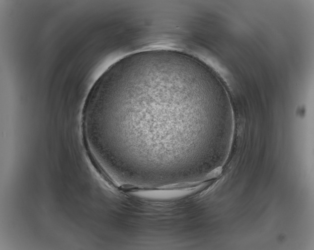 X0000097481423200802291348
