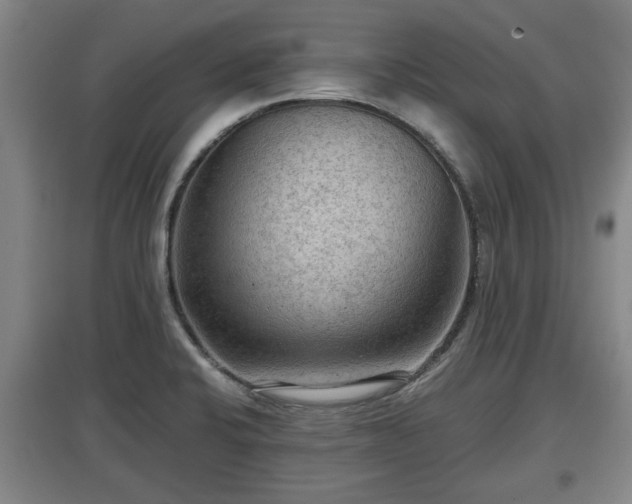 X0000097481424200802291348