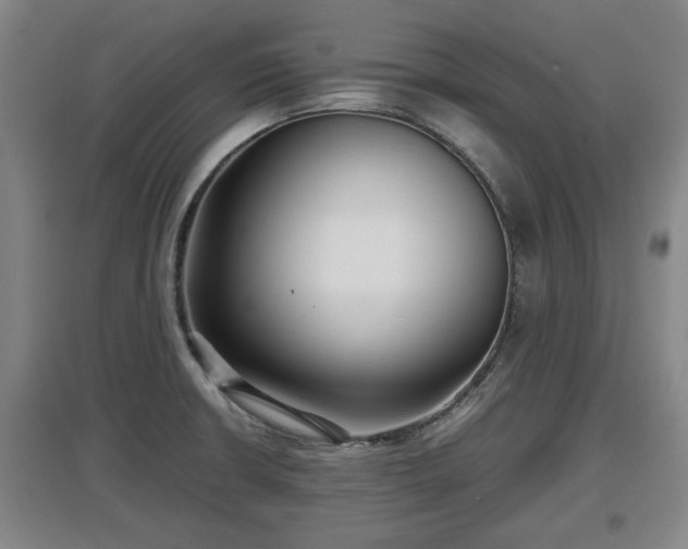 X0000097481426200802291348