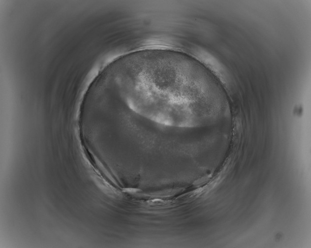 X0000097481427200802291348